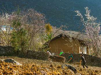 Ha Giang Dong Van