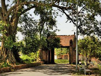 duong lam