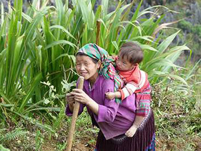 Hmong people in Dong Van
