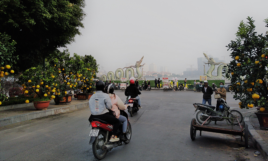 tet-flower-market