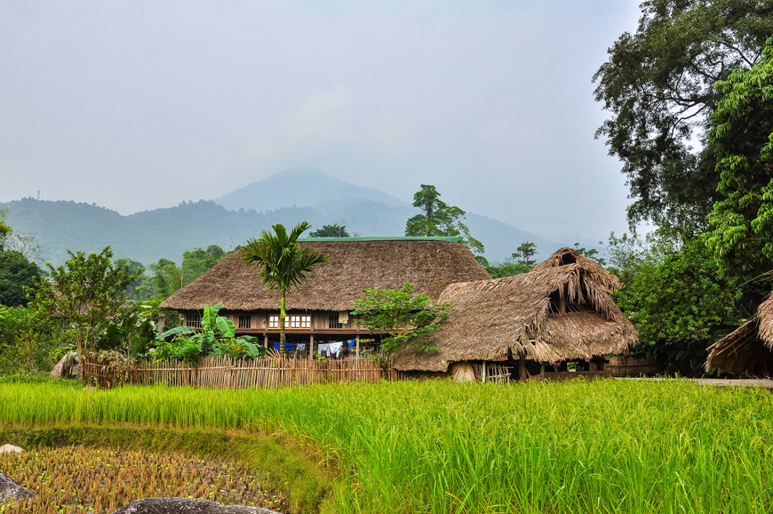 homestay-vietnam