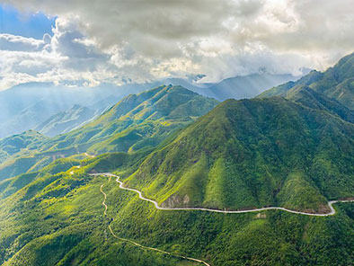 rice fields of Tu Le