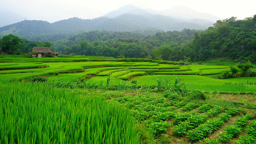 hagiang