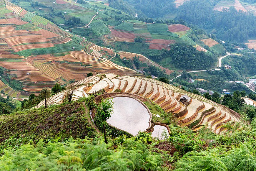 riziere-mu-cang-chai