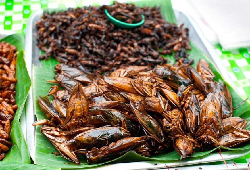 Crickets in Cambodian Cuisine crickets