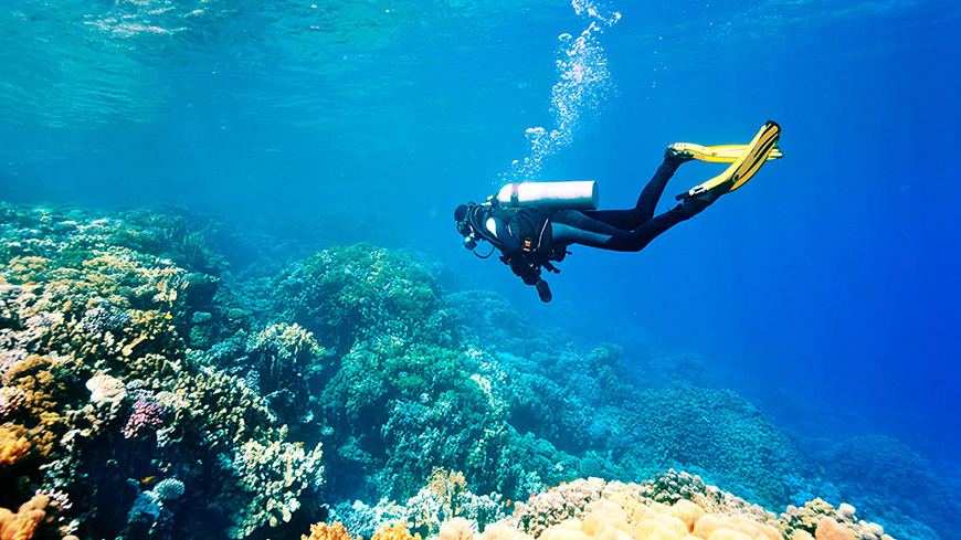 Diving in Cambodia diving