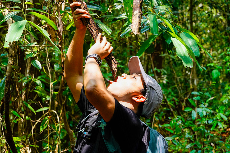 Have a drink water-bamboo