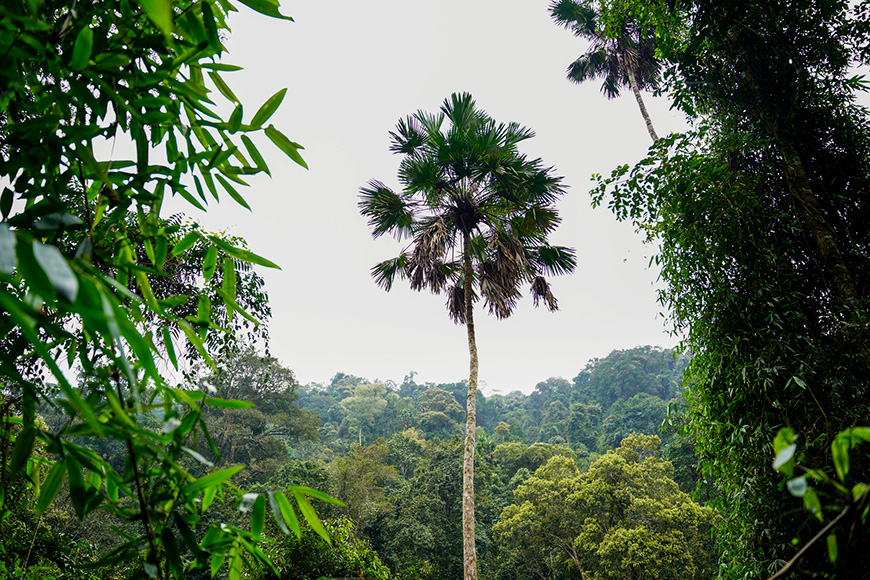 Pu Mat National Park pu-mat