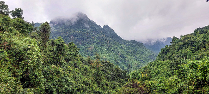 Nature: a fragile treasure to preserve nature
