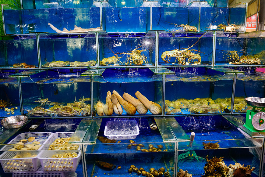 Sea Food alive living-sea-food