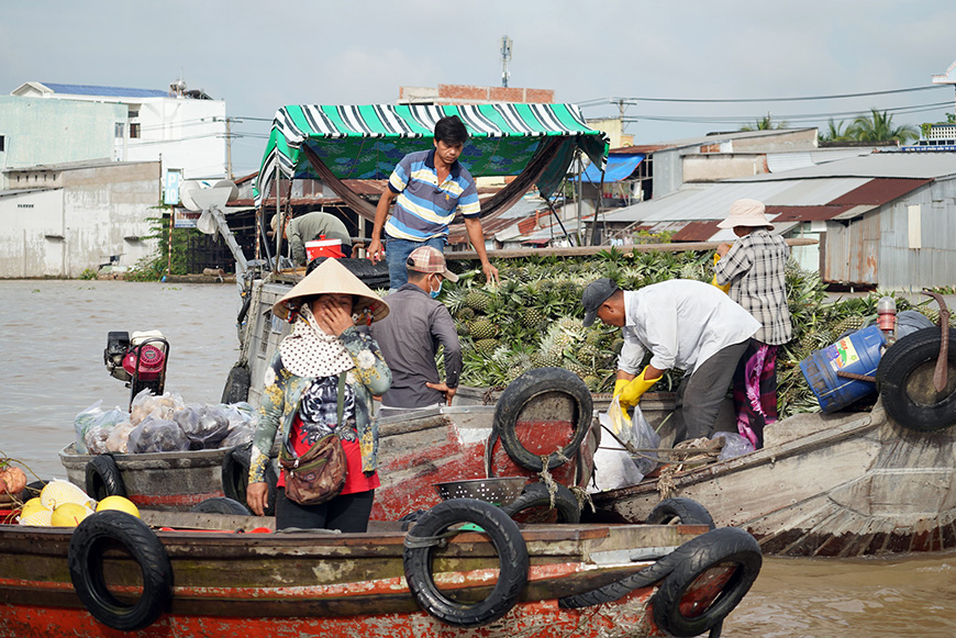 mekong-delta