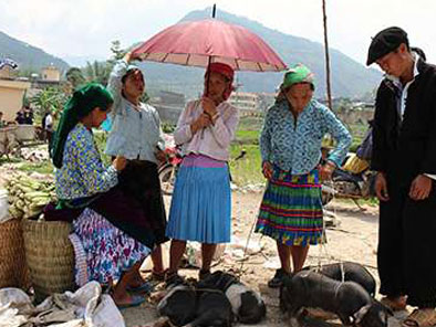Meo-Vac-Ha-Giang