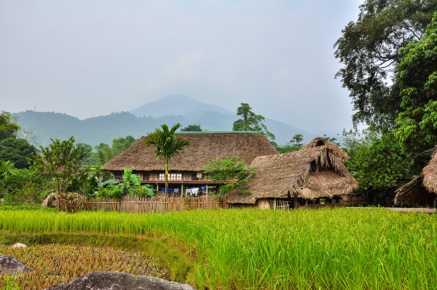 stilt-house