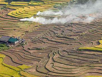 Su Pan