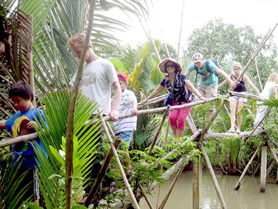Monkey Bridge in Mekong Delta