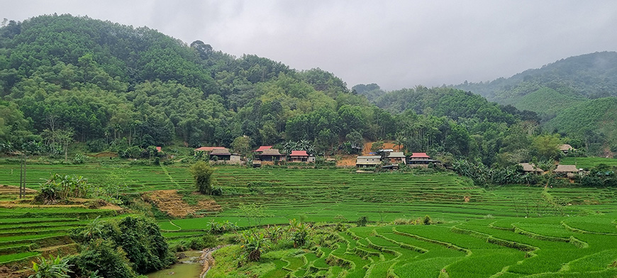 mai-chau