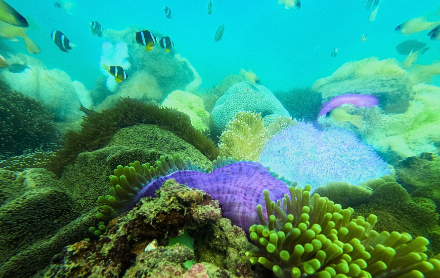 nha-trang