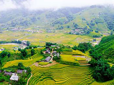 Overnight homestay in Sapa