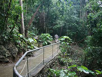 Phong Nha Ke Bang National Park