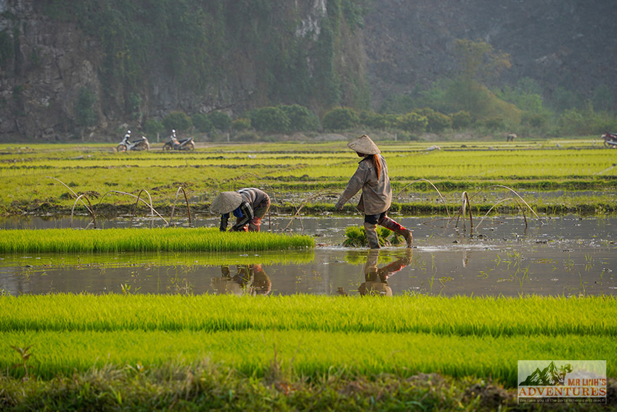 Two weeks in Vietnam