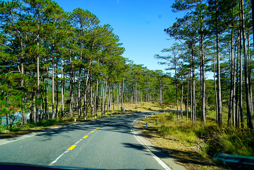road-dalat