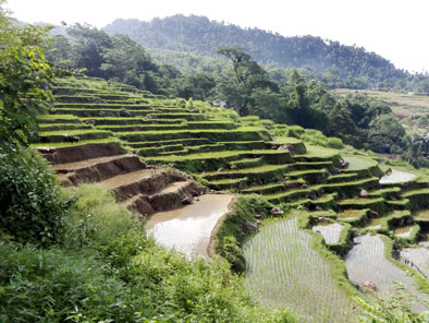 Mai-Chau-Hoa-Binh