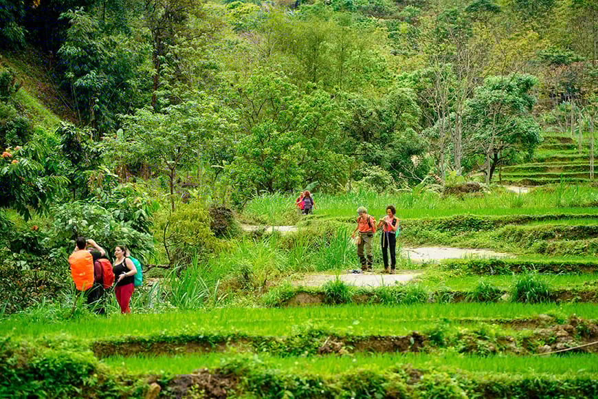 pulong-trek