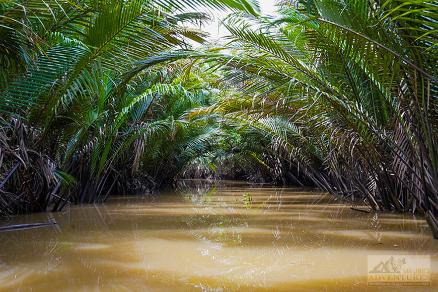 mekong-delta