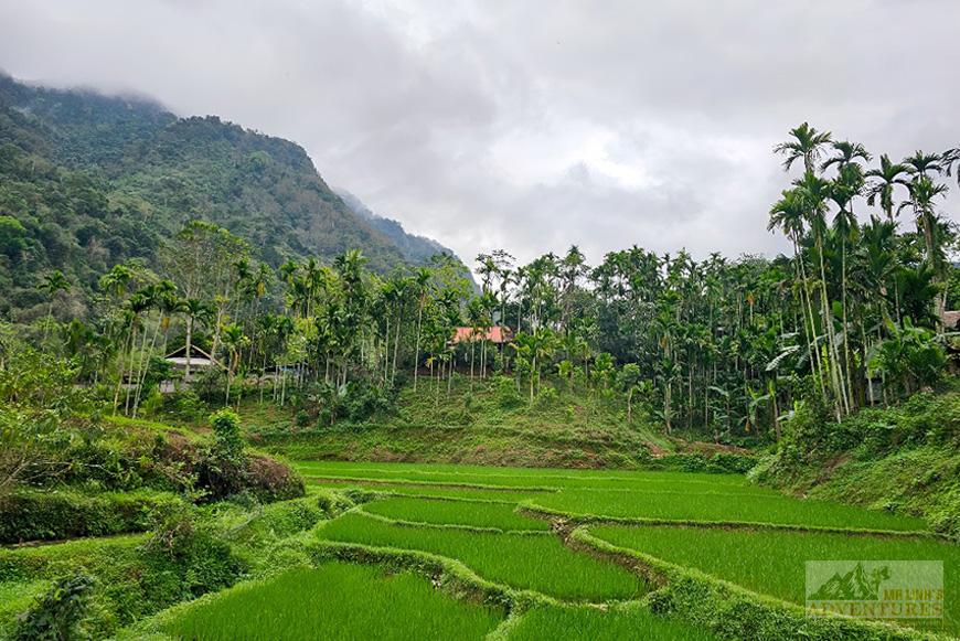 Vietnam responsable & petit budget
