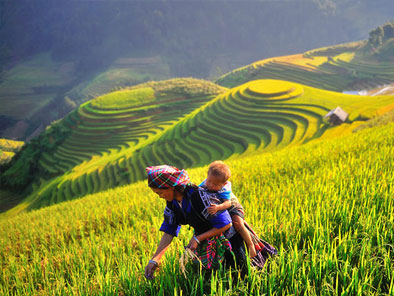 Remote far North Vietnam 9 days 8 nights