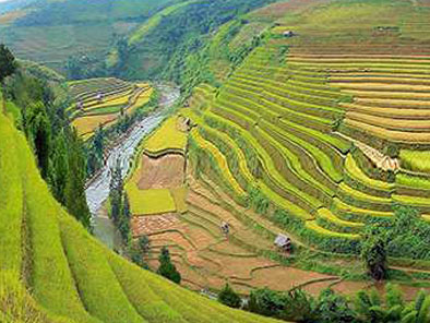 3-day Adventure to Mu Cang Chai Rice Fields