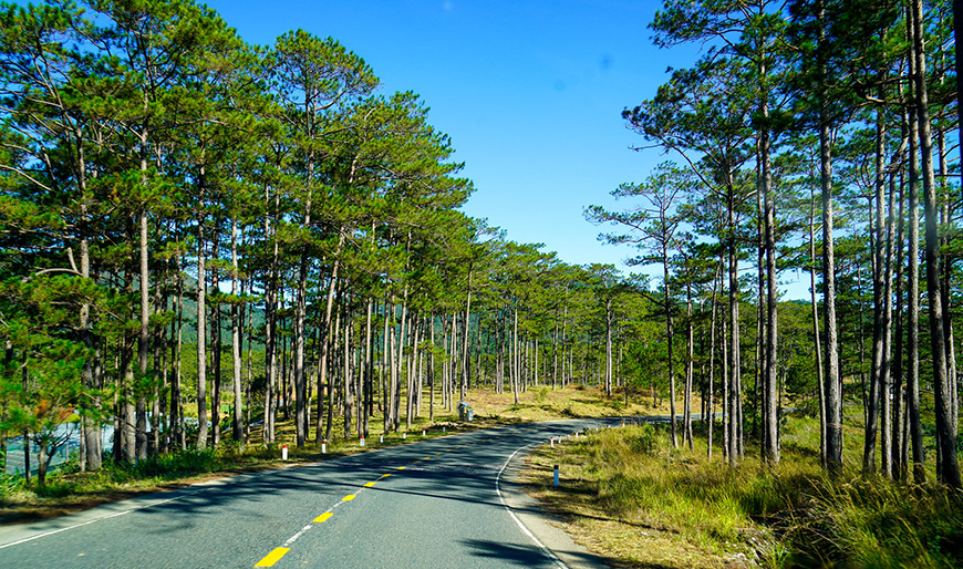 dalat