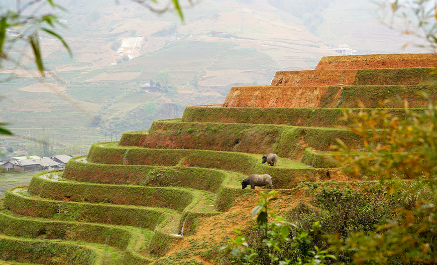 trekking-sapa