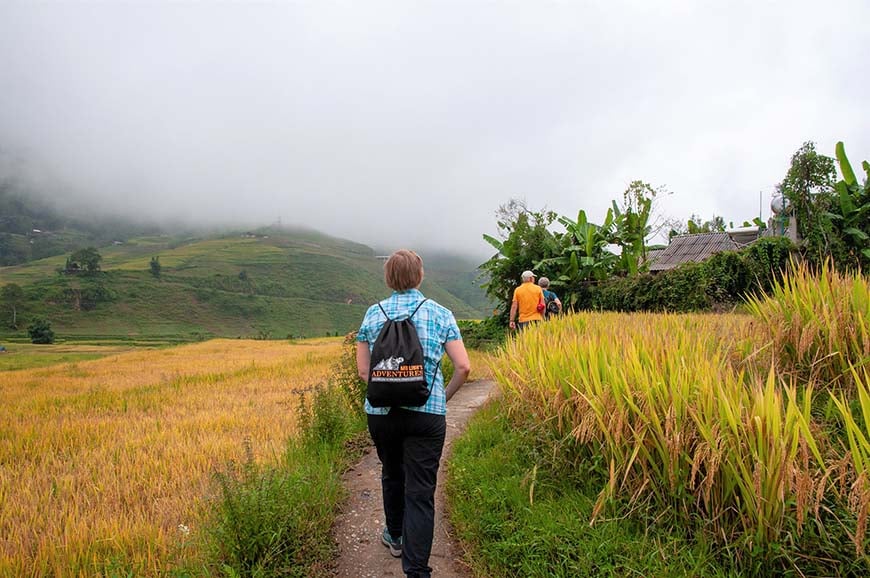 Typhoon sighted! Your guide's anti-panic plan