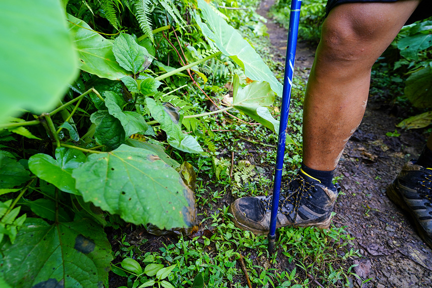 Footwear and socks