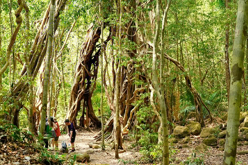 hiking_national-parks