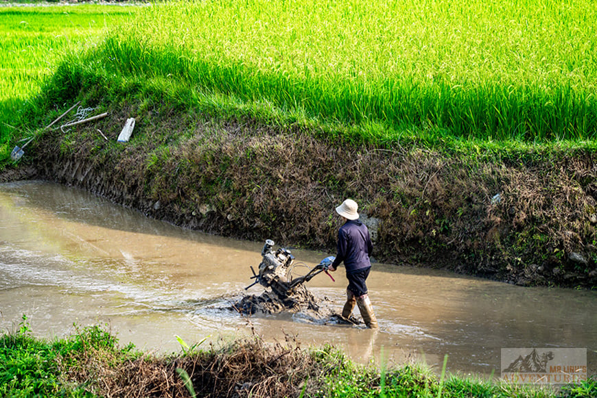 sustainable-travel