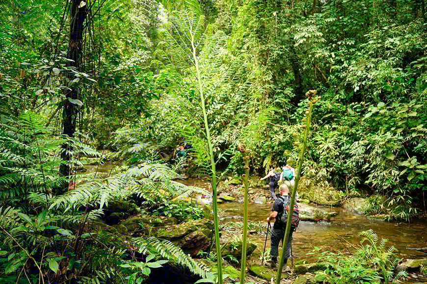 The jewels of trekking in Vietnam: 7 Unmissable National Parks