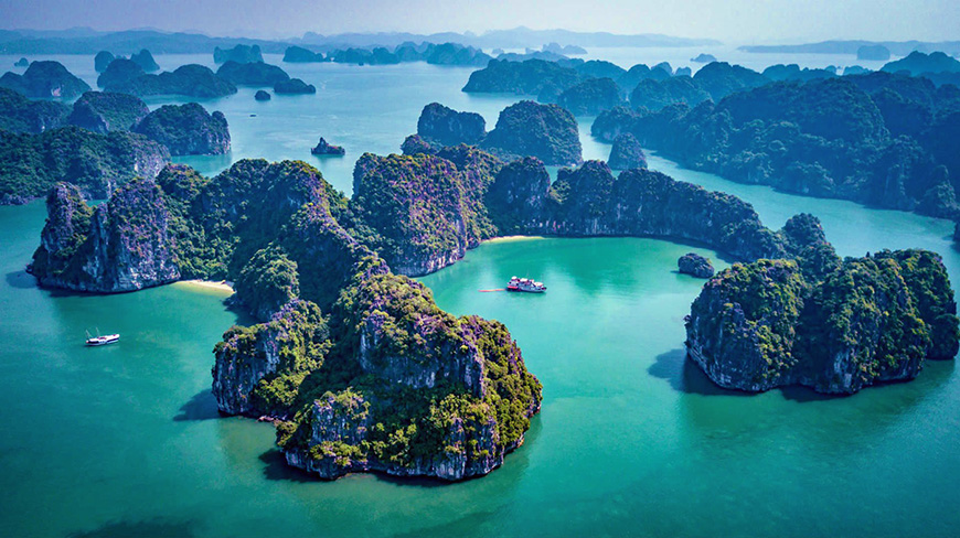 bai-tu-long