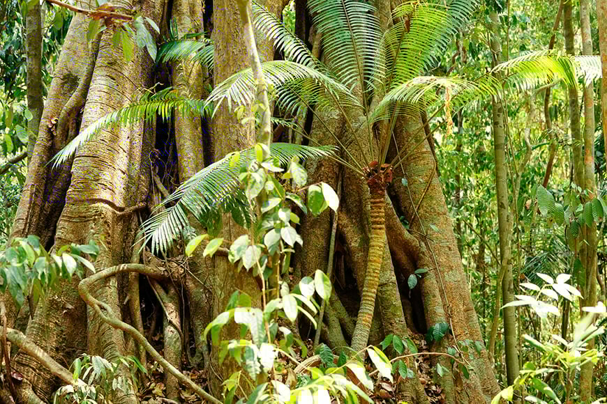 Top 5 unmissable National Parks
