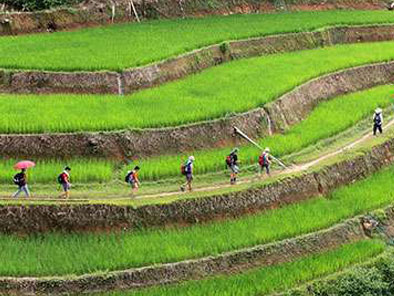 Trekking Adventure to Hoang Su Phi