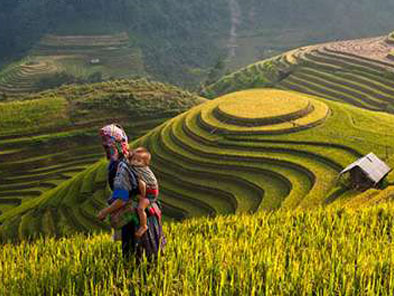 3-day Adventure to Mu Cang Chai Rice Fields