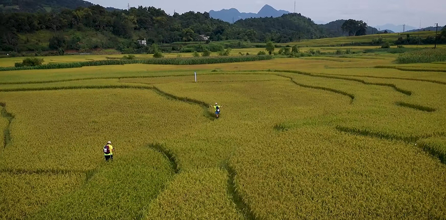 Vietnam Aventura Trek 2025