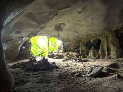 Cuc Phuong National Park