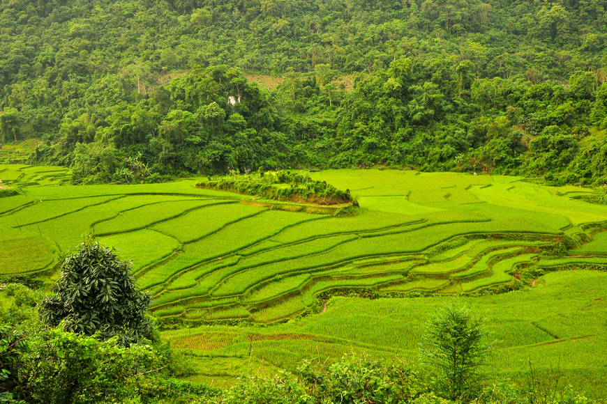vietnam