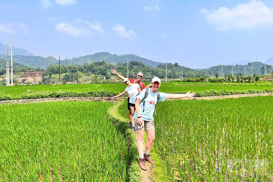 waling_small-group-tour