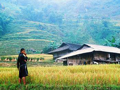 Xi-Man-Hoang-Su-Phi