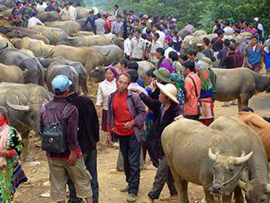 local people Bac Ha