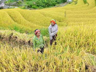 village of Lung Vai