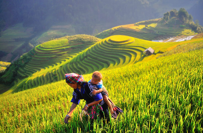 Remote far North Vietnam 9 days 8 nights